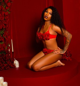 XVixen
