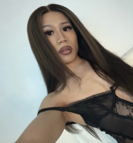 transvixen